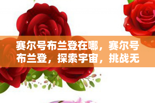 赛尔号布兰登在哪，赛尔号布兰登，探索宇宙，挑战无限