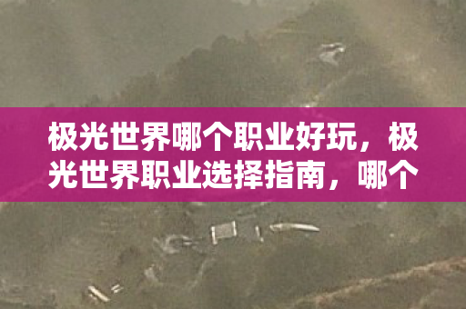 极光世界哪个职业好玩，极光世界职业选择指南，哪个职业最适合你？