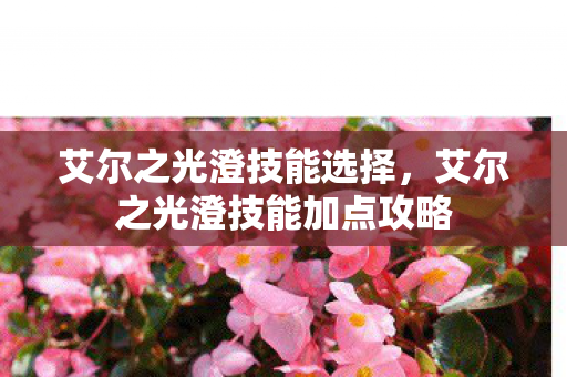 艾尔之光澄技能选择，艾尔之光澄技能加点攻略