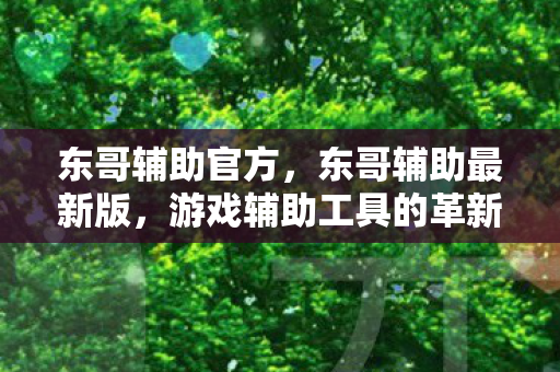 东哥辅助官方，东哥辅助最新版，游戏辅助工具的革新与未来展望
