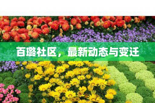 百璐社区,最新动态与变迁 百璐社区,最新动态与变迁