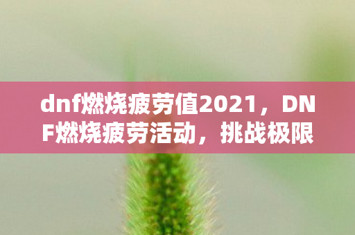 dnf燃烧疲劳值2021，DNF燃烧疲劳活动，挑战极限，燃烧你的游戏激情