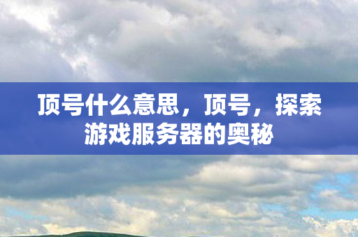 顶号什么意思，顶号，探索游戏服务器的奥秘