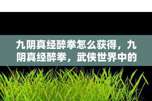 九阴真经醉拳怎么获得,九阴真经醉拳,武侠世界中的灵动之舞 九阴真经醉拳怎么获得,九阴真经醉拳,武侠世界中的灵动之舞