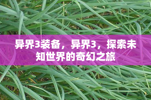 异界3装备，异界3，探索未知世界的奇幻之旅