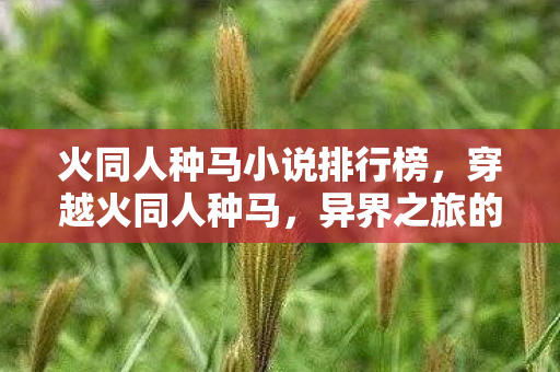 火同人种马小说排行榜，穿越火同人种马，异界之旅的奇幻冒险