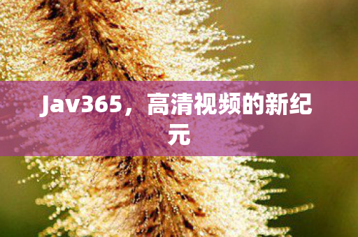 Jav365,高清视频的新纪元 Jav365,高清视频的新纪元