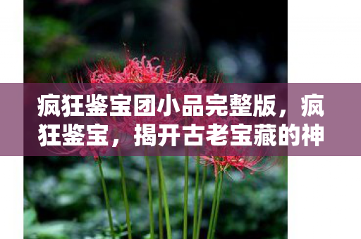 疯狂鉴宝团小品完整版，疯狂鉴宝，揭开古老宝藏的神秘面纱