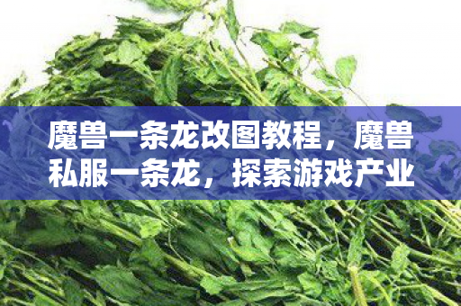 魔兽一条龙改图教程，魔兽私服一条龙，探索游戏产业背后的秘密