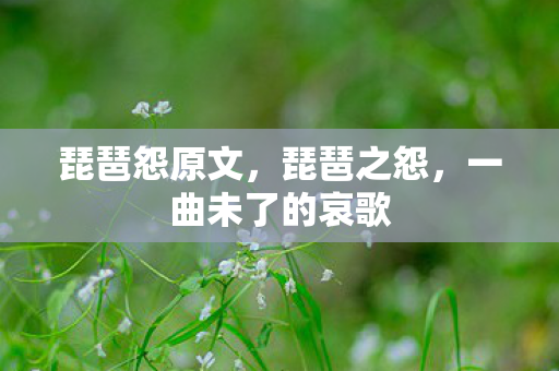 琵琶怨原文，琵琶之怨，一曲未了的哀歌