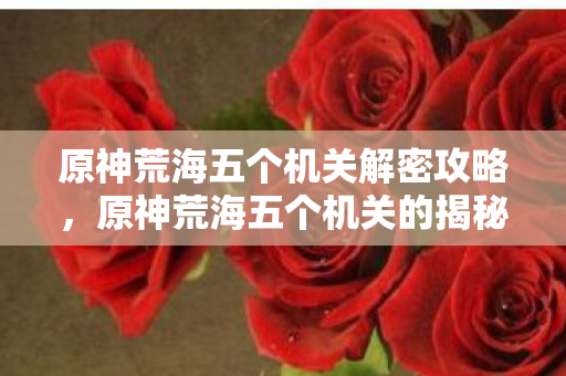 原神荒海五个机关解密攻略，原神荒海五个机关的揭秘与探索