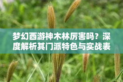梦幻西游神木林厉害吗？深度解析其门派特色与实战表现