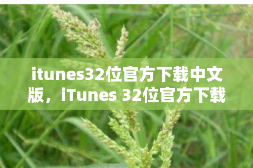 itunes32位官方下载中文版，iTunes 32位官方下载，安全、便捷的音乐管理新体验