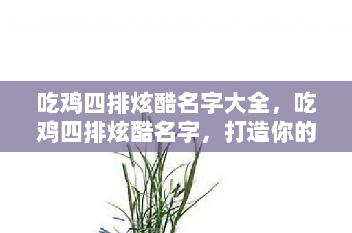 吃鸡四排炫酷名字大全,吃鸡四排炫酷名字,打造你的专属战斗风格 吃鸡四排炫酷名字大全,吃鸡四排炫酷名字,打造你的专属战斗风格