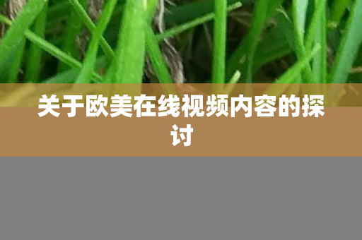 关于欧美在线视频内容的探讨