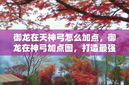 御龙在天神弓怎么加点，御龙在神弓加点图，打造最强角色的关键步骤