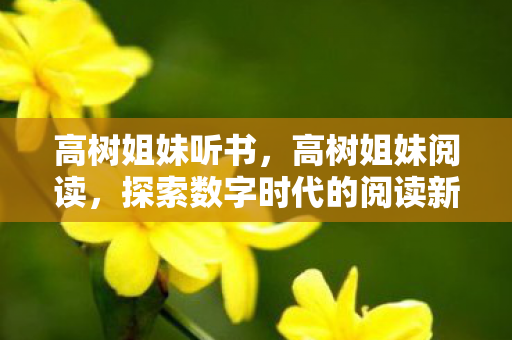 高树姐妹听书，高树姐妹阅读，探索数字时代的阅读新风尚