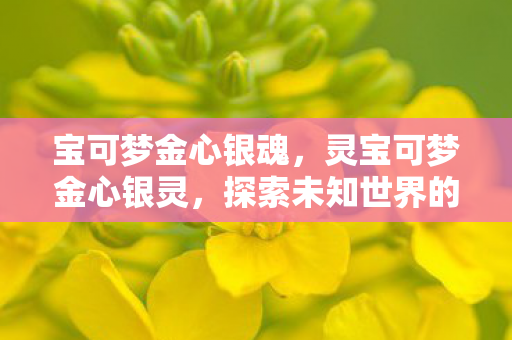 宝可梦金心银魂，灵宝可梦金心银灵，探索未知世界的奇幻之旅