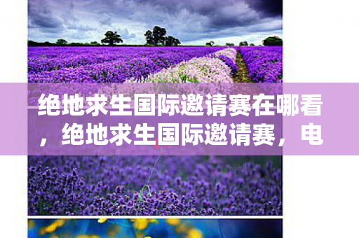 绝地求生国际邀请赛在哪看，绝地求生国际邀请赛，电竞盛宴的荣耀与挑战