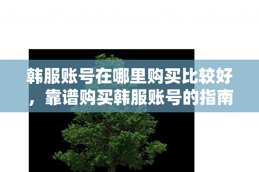 韩服账号在哪里购买比较好，靠谱购买韩服账号的指南