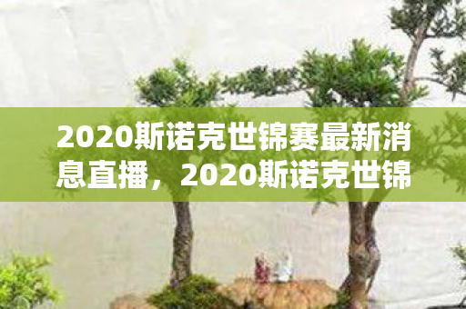 2020斯诺克世锦赛最新消息直播，2020斯诺克世锦赛，传奇与未来的碰撞
