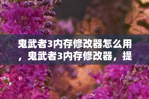 鬼武者3内存修改器怎么用，鬼武者3内存修改器，提升游戏体验的必备工具