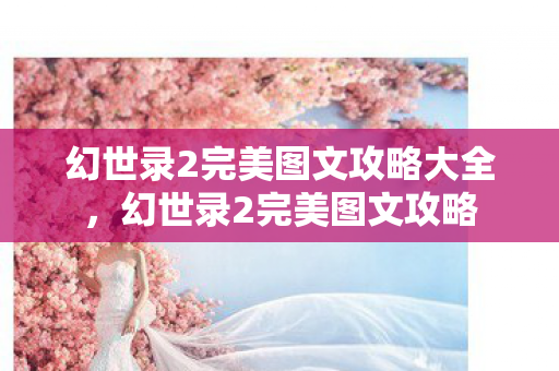 幻世录2完美图文攻略大全，幻世录2完美图文攻略