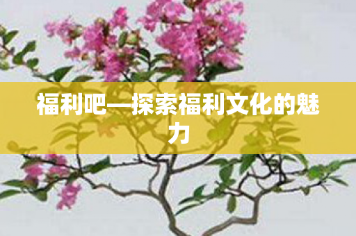 福利吧—探索福利文化的魅力
