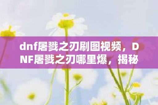 dnf屠戮之刃刷图视频，DNF屠戮之刃哪里爆，揭秘官方途径与高效刷取策略