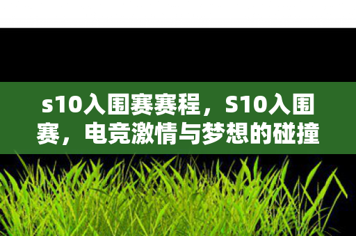 s10入围赛赛程，S10入围赛，电竞激情与梦想的碰撞