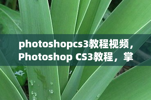 photoshopcs3教程视频，Photoshop CS3教程，掌握经典工具，打造专业设计
