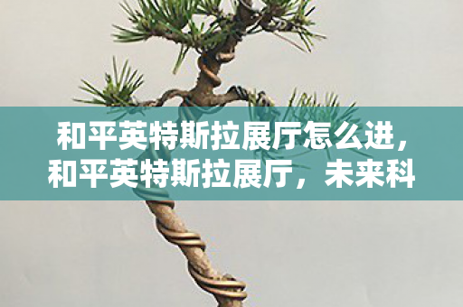 和平英特斯拉展厅怎么进,和平英特斯拉展厅,未来科技的沉浸式体验 和平英特斯拉展厅怎么进,和平英特斯拉展厅,未来科技的沉浸式体验
