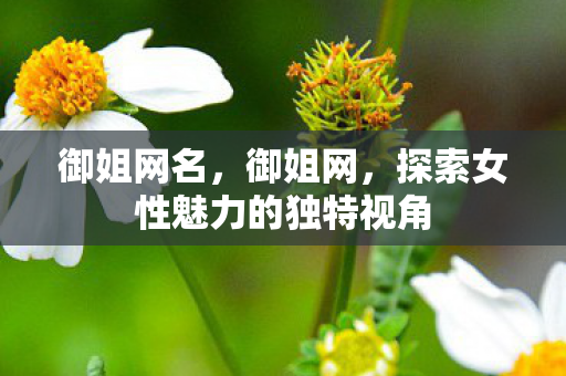 御姐网名，御姐网，探索女性魅力的独特视角