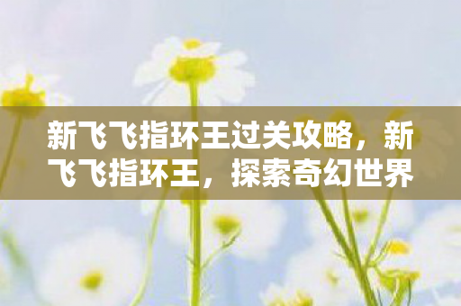 新飞飞指环王过关攻略，新飞飞指环王，探索奇幻世界的无限可能