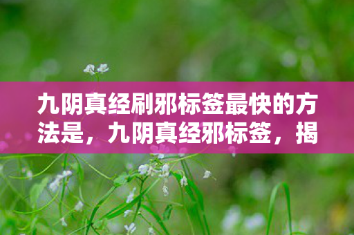 九阴真经刷邪标签最快的方法是，九阴真经邪标签，揭秘游戏世界的阴暗面