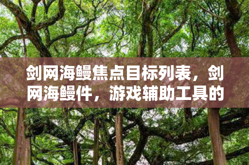剑网海鳗焦点目标列表，剑网海鳗件，游戏辅助工具的魅力与挑战