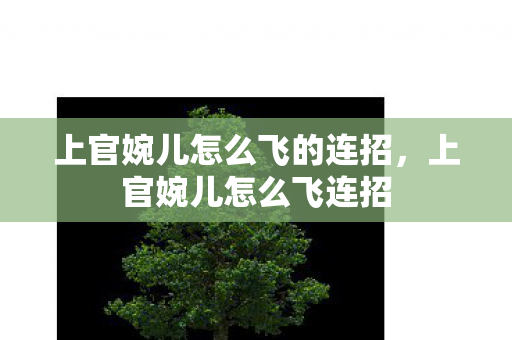 上官婉儿怎么飞的连招，上官婉儿怎么飞连招