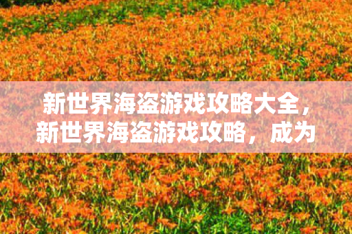 新世界海盗游戏攻略大全，新世界海盗游戏攻略，成为海上霸主的策略与技巧