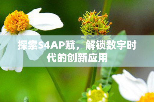 探索S4AP赋，解锁数字时代的创新应用