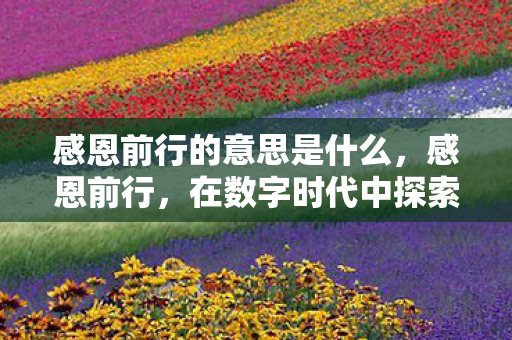 感恩前行的意思是什么，感恩前行，在数字时代中探索与成长