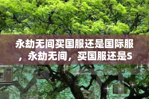 永劫无间买国服还是国际服，永劫无间，买国服还是STEAM？