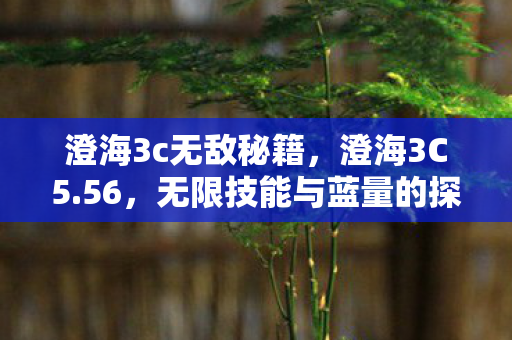 澄海3c无敌秘籍，澄海3C5.56，无限技能与蓝量的探索