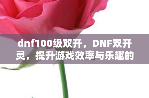 dnf100级双开，DNF双开灵，提升游戏效率与乐趣的实用工具