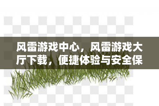 风雷游戏中心，风雷游戏大厅下载，便捷体验与安全保障的完美结合