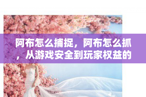 阿布怎么捕捉，阿布怎么抓，从游戏安全到玩家权益的全面解析