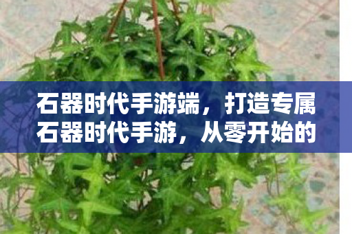 石器时代手游端，打造专属石器时代手游，从零开始的服务器架设指南