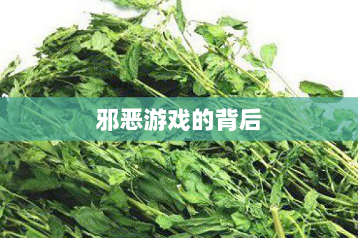邪恶游戏的背后