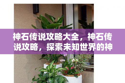 神石传说攻略大全，神石传说攻略，探索未知世界的神秘之旅