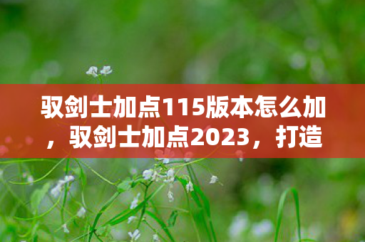 驭剑士加点115版本怎么加，驭剑士加点2023，打造最强剑术大师