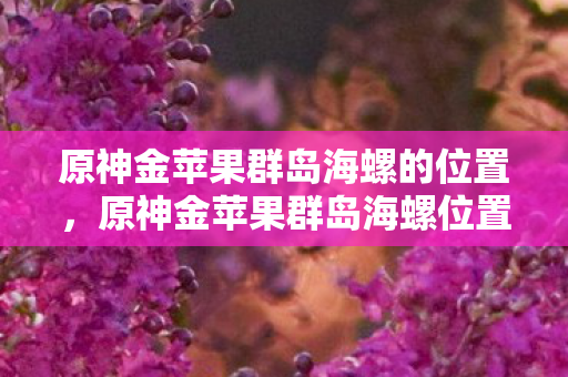 原神金苹果群岛海螺的位置，原神金苹果群岛海螺位置详解